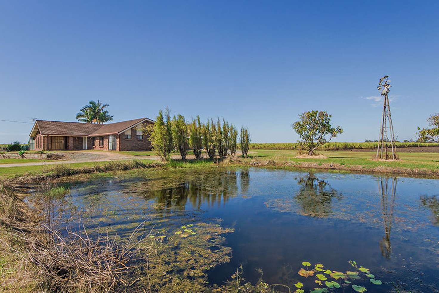 Main view of Homely acreageSemiRural listing, LOT 1, 115 Fischers Road, Norwell QLD 4208