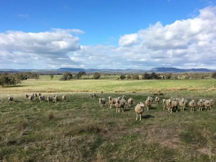 . Barambogie Road, Chiltern VIC 3683