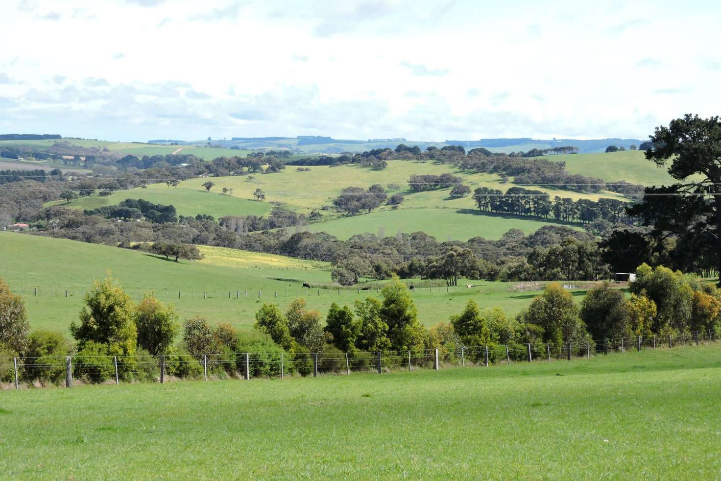 Main view of Homely livestock listing, 532 Goolwa Road, Mount Compass SA 5210