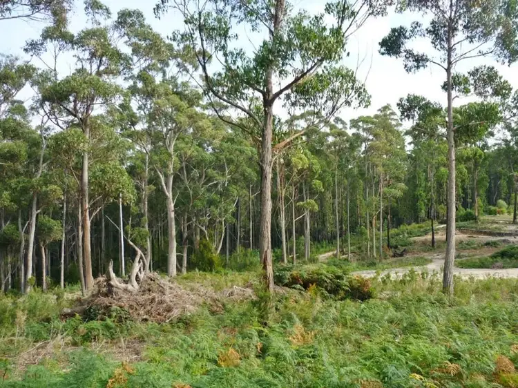 Main view of Homely land listing, Address available on request