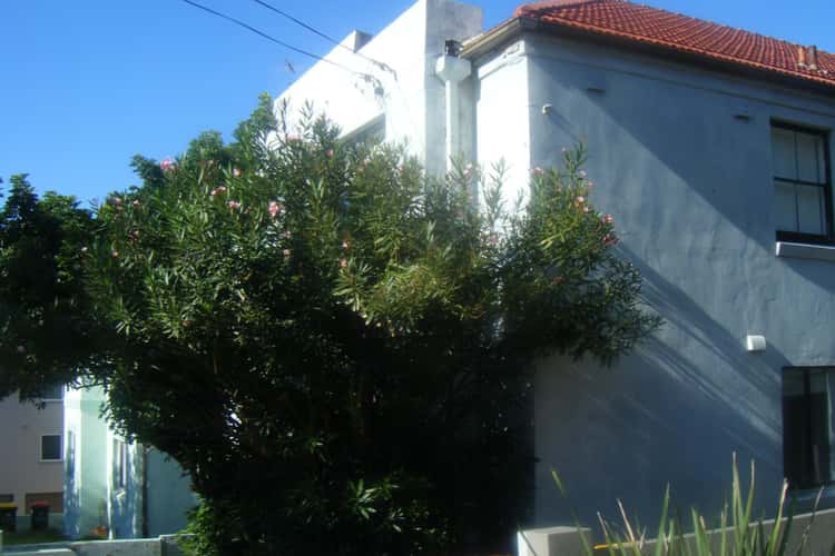 Fifth view of Homely unit listing, 7/433 Maroubra St, Maroubra NSW 2035