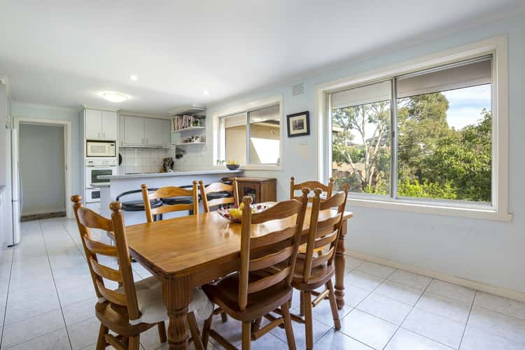 Sixth view of Homely house listing, 49 San Remo Drive, Avondale Heights VIC 3034