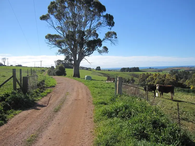 Second view of Homely rural property listing, 45 Chuggs Road, Forth TAS 7310