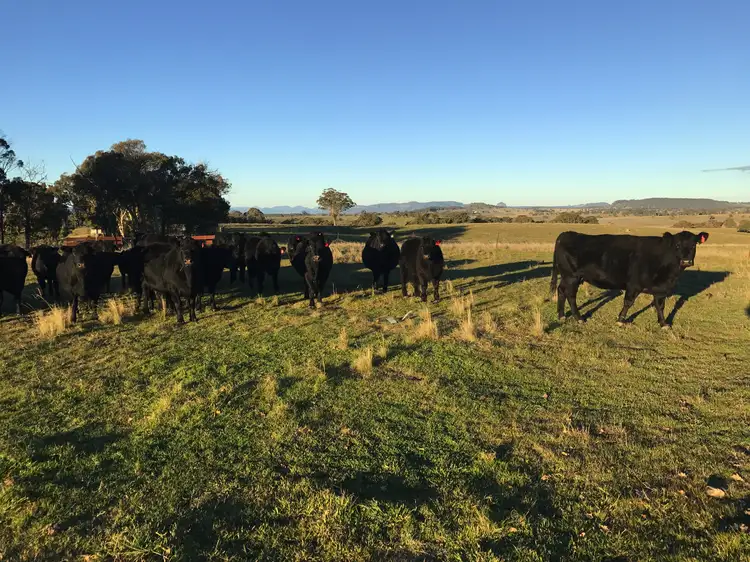 2162 Aarons Pass Rd, Aarons Pass NSW 2850