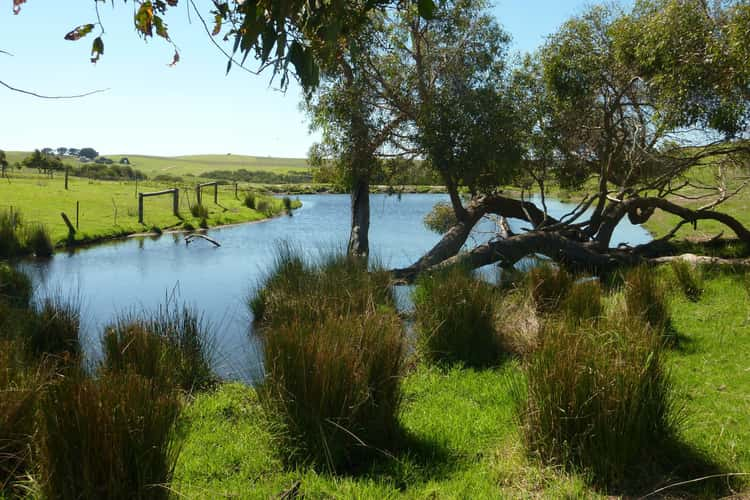 Main view of Homely livestock listing, 206 Wilkins Road, Back Valley SA 5211