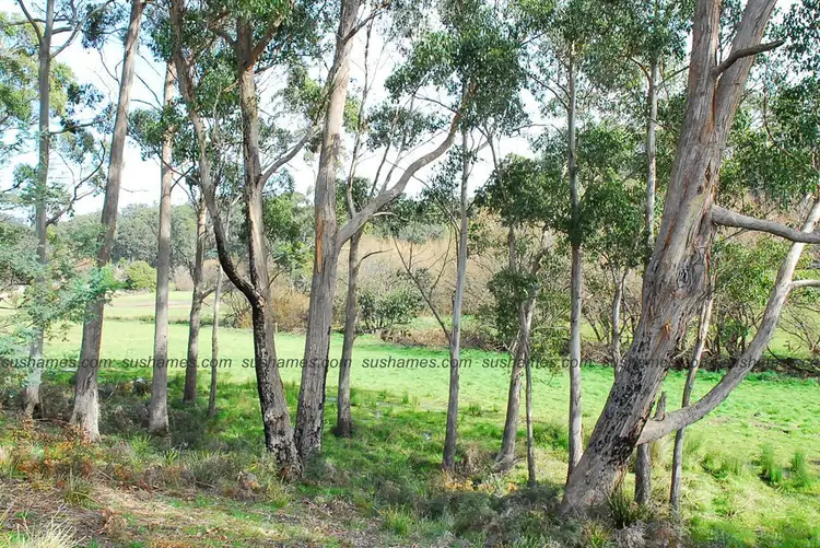 Fifth view of Homely land listing, Lot 15 Collins Way, Tugrah TAS 7310