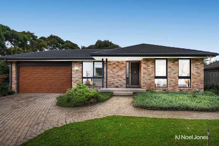 18 Wolf Street, Wantirna South VIC 3152