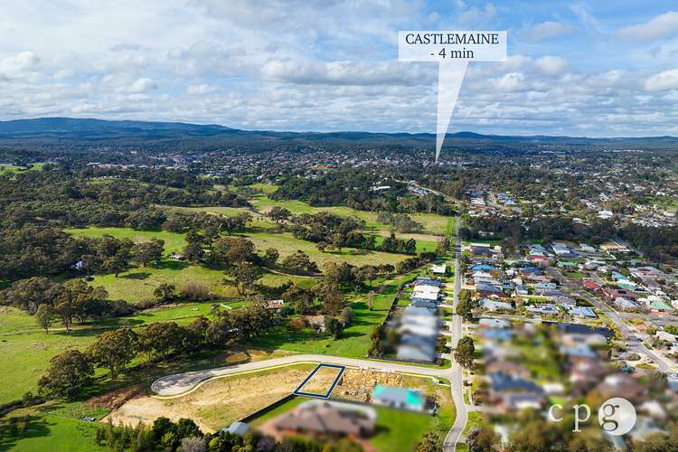 4 Pardalote Place, Castlemaine VIC 3450