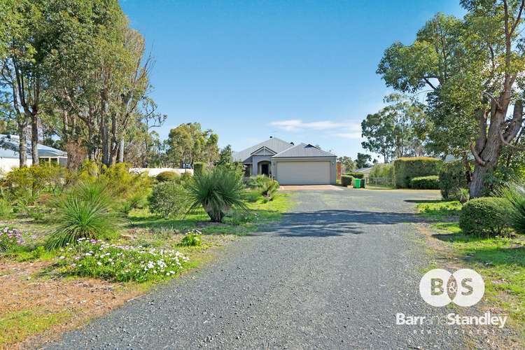 Main view of Homely house listing, 81 Leschenaultia Circle, Donnybrook WA 6239