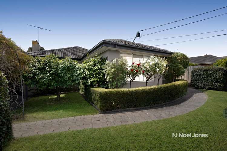 Main view of Homely house listing, 19 Ruby Street, Burwood East VIC 3151