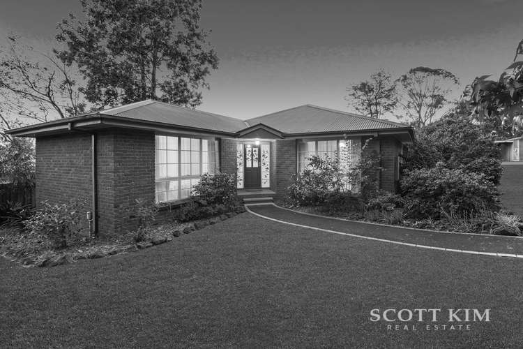 Main view of Homely house listing, 48 Waterloo Street, Heathmont VIC 3135