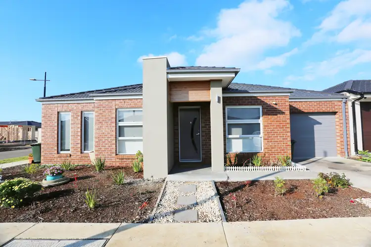 9a Falcon Street