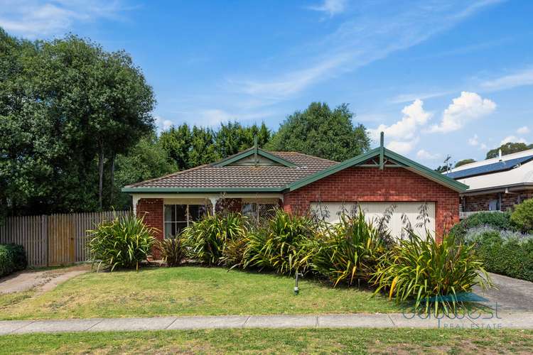 32 Michelle Drive, Hastings VIC 3915