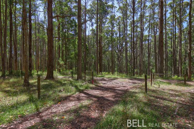 Main view of Homely residentialLand listing, LOT lot 1, 25 Boyd Road, Gembrook VIC 3783