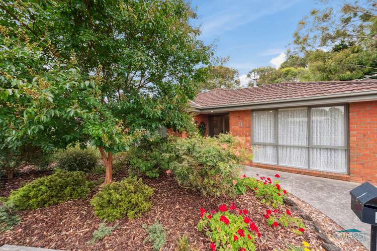 3 Sefton Court, Hastings VIC 3915