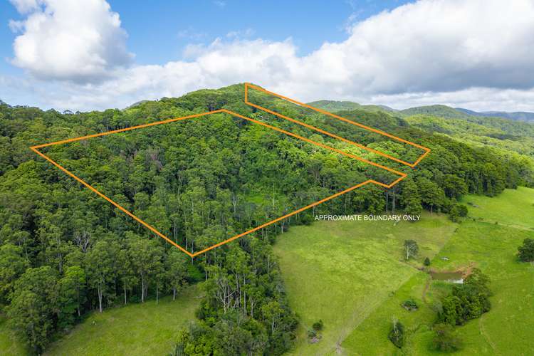 LOT 440 442, 443 Fridays Creek Road, Upper Orara NSW 2450