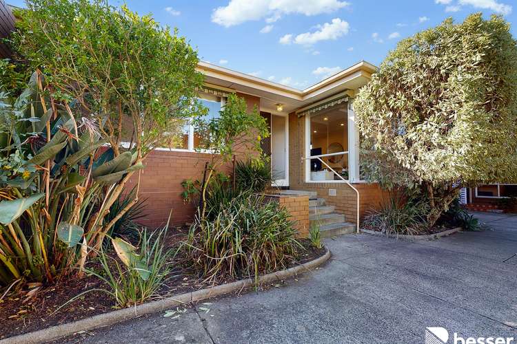 Main view of Homely unit listing, 3/37 Northcote Avenue, Caulfield North VIC 3161