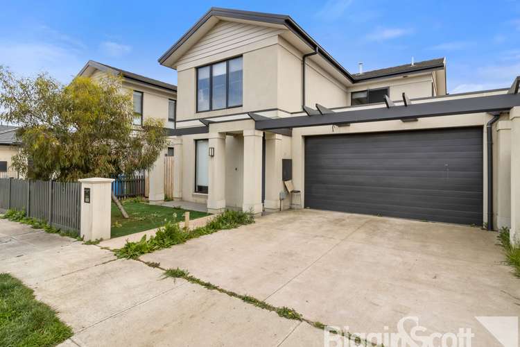 149 Billy Buttons Drive, Narre Warren VIC 3805