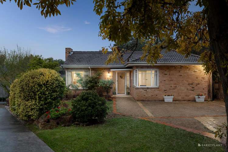 Main view of Homely house listing, 43 McCulloch Street, Nunawading VIC 3131