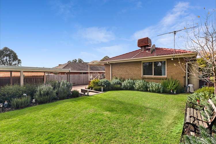 Main view of Homely house listing, 24 Sylvia Street, Blackburn South VIC 3130