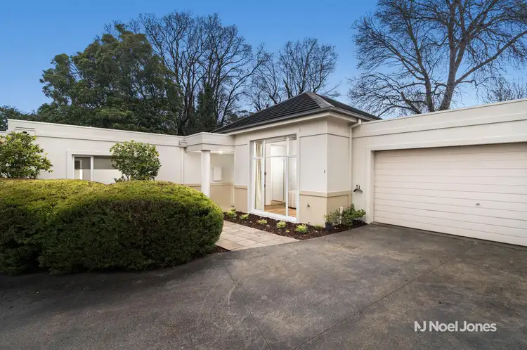 6E Jellicoe Street