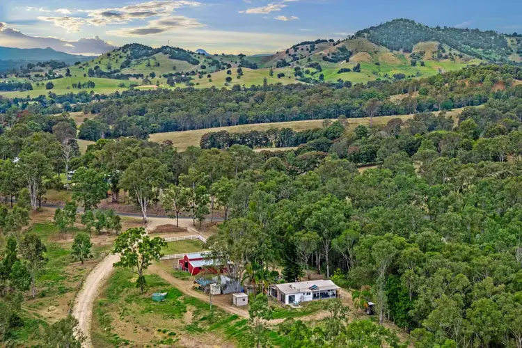 Main view of Homely house listing, 236 Burgess Road, Calico Creek QLD 4570
