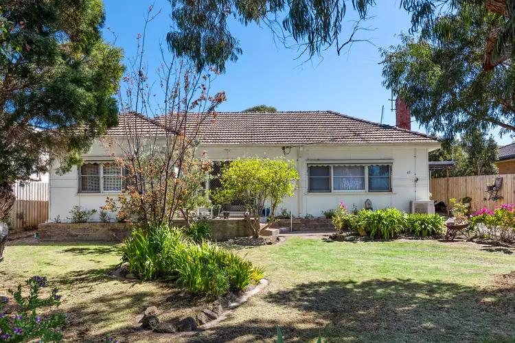 41 Fischer Street