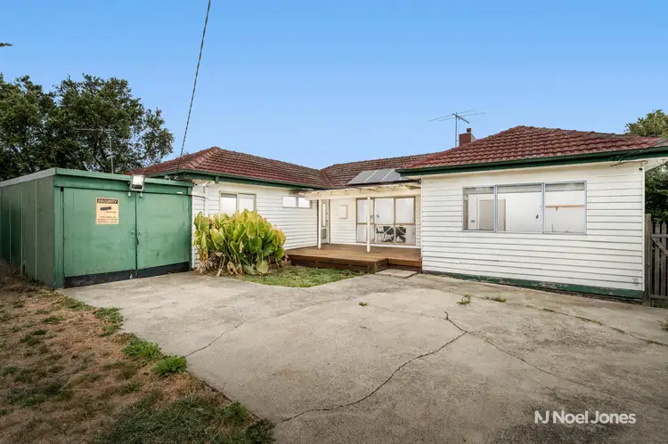 87 Orange Grove