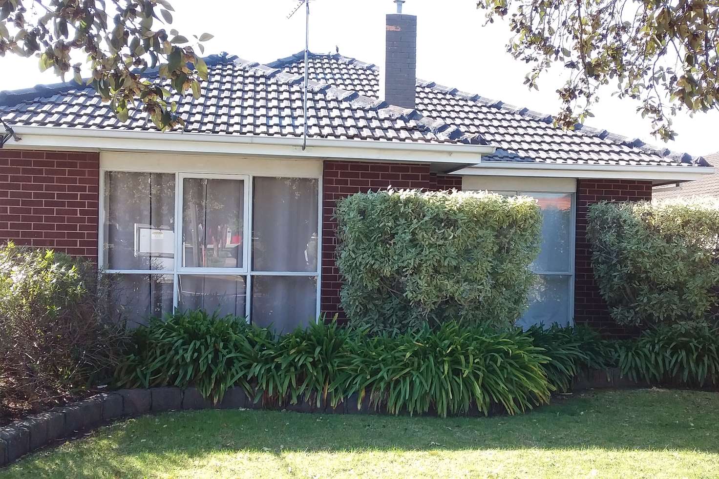 Main view of Homely unit listing, 1/62 Grieve Parade, Altona VIC 3018