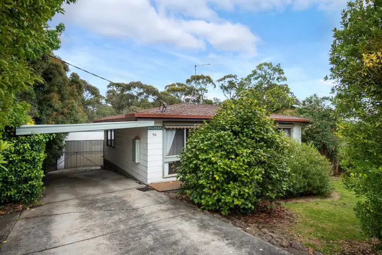 56 Main Road