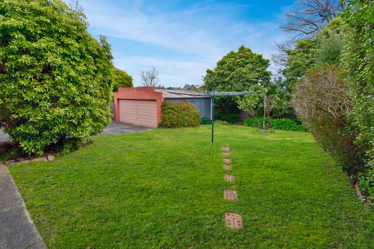 Fifth view of Homely house listing, 12 Lupin Street, Blackburn North VIC 3130