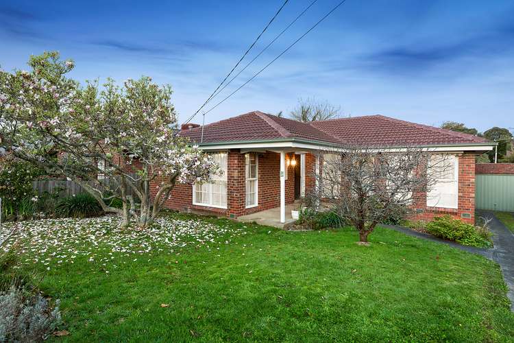 Main view of Homely house listing, 5 Jobert Court, Blackburn South VIC 3130