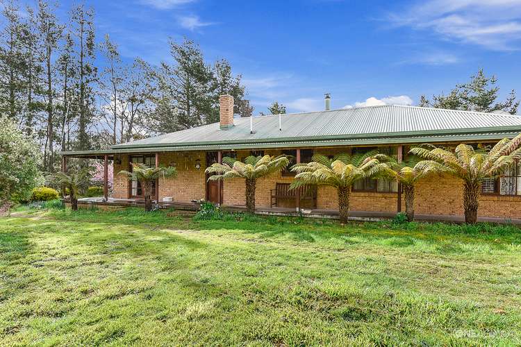 Fourth view of Homely acreageSemiRural listing, 3386 Nugent Road, Buckland TAS 7190