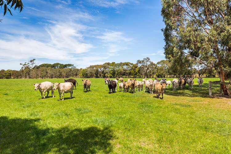 Third view of Homely house listing, 130 Hendersons Road, Bittern VIC 3918