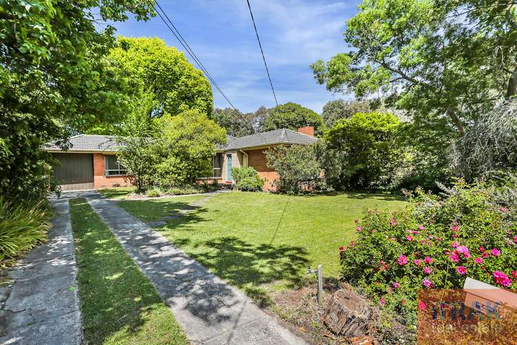 19 Melton Grove, Croydon VIC 3136