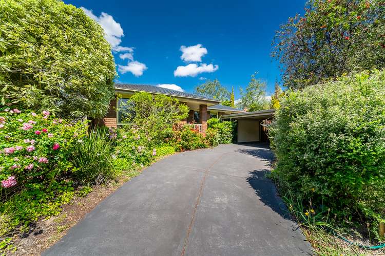 Main view of Homely house listing, 12 Rotherwood Close, Wantirna VIC 3152