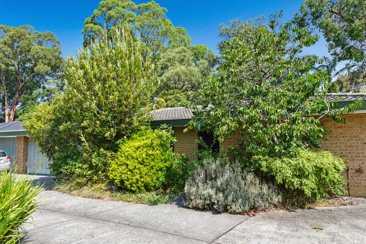 Main view of Homely unit listing, 6/99 Surrey Road, Blackburn North VIC 3130