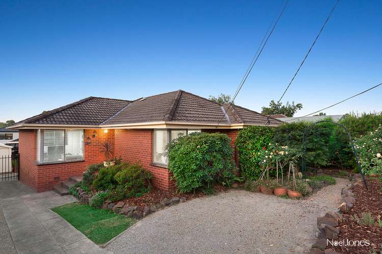 Main view of Homely house listing, 35 Frank Street, Vermont VIC 3133