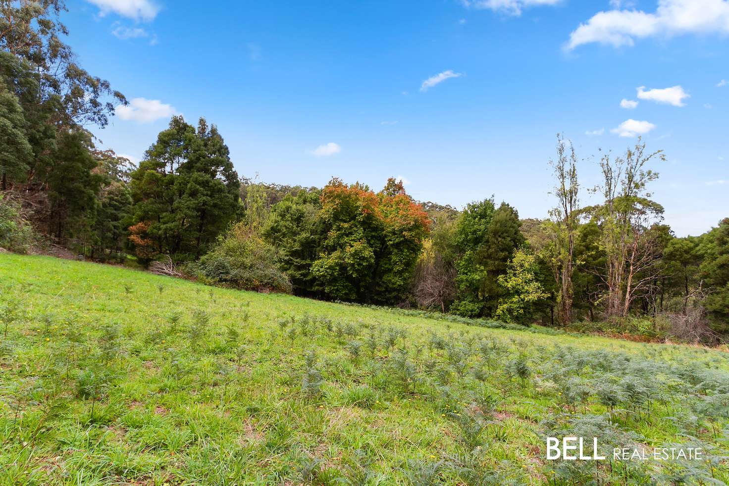 Main view of Homely residentialLand listing, 29 Selby Aura Road, Menzies Creek VIC 3159