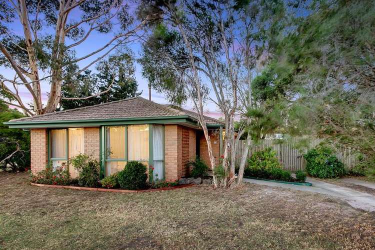 Main view of Homely house listing, 7 Candytuft Close, Cranbourne North VIC 3977