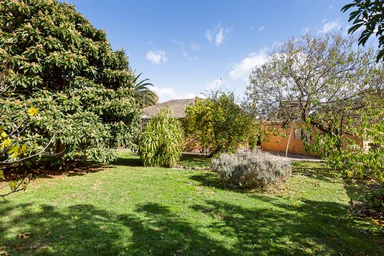 Fifth view of Homely house listing, 33 Mall Court, Blackburn North VIC 3130