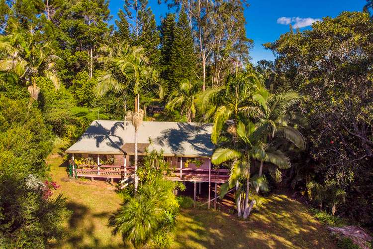 Main view of Homely house listing, 24 Basil Road, Nimbin NSW 2480