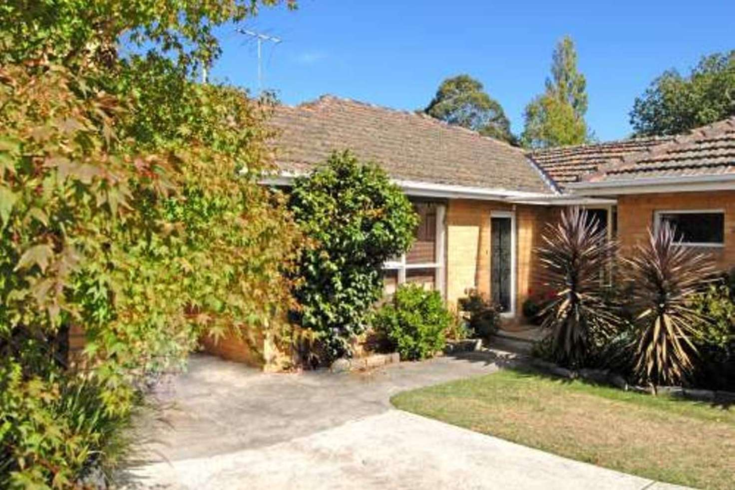 Main view of Homely villa listing, 6/31 Faversham Road, Canterbury VIC 3126