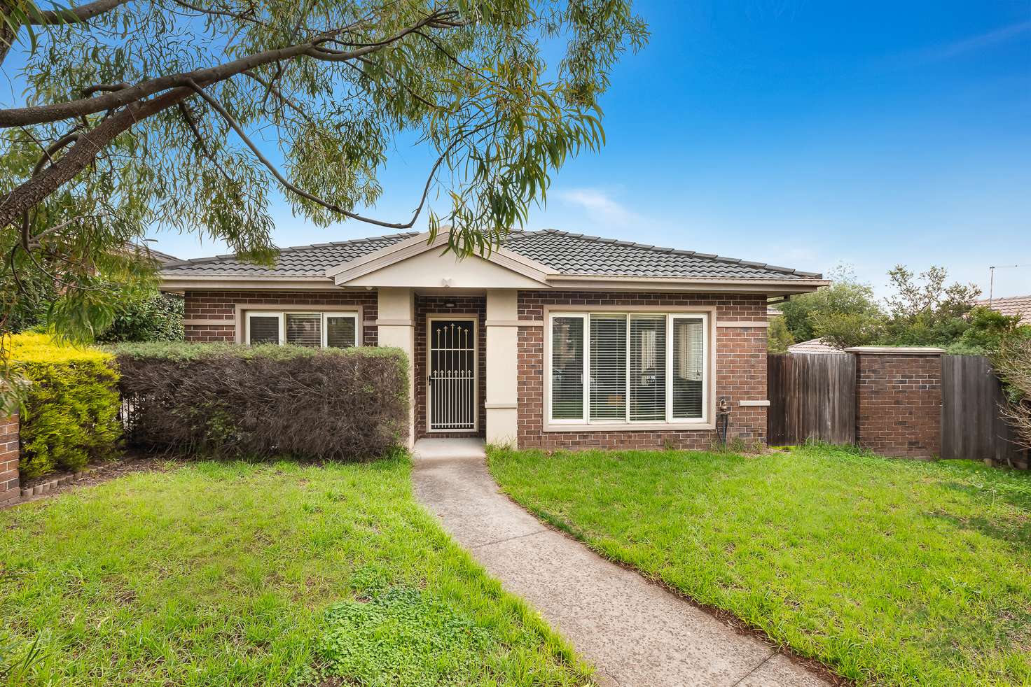 Main view of Homely house listing, 1/15 Teck Street, Ashwood VIC 3147