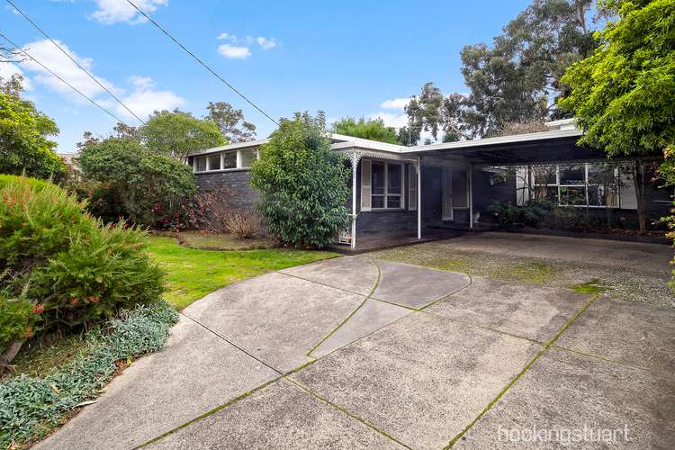 Fourth view of Homely house listing, 37 Cloris Avenue, Beaumaris VIC 3193