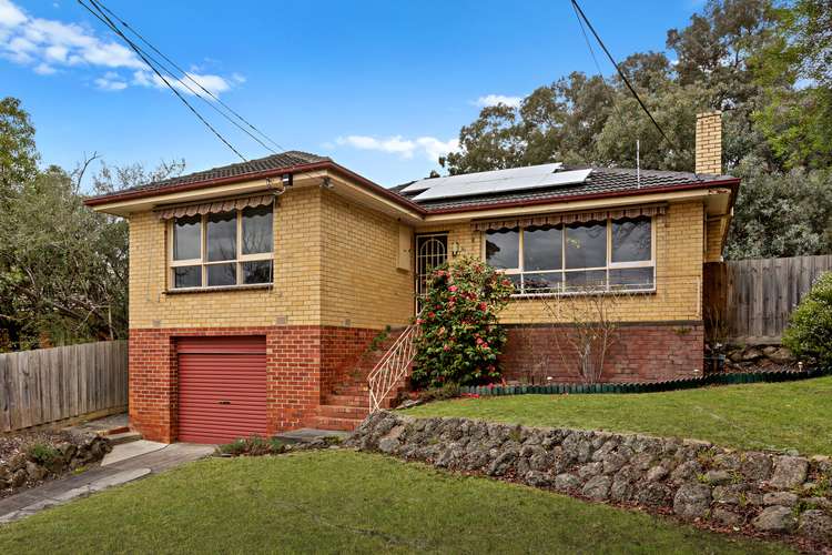 Main view of Homely house listing, 31 Adolphson Avenue, Ringwood North VIC 3134