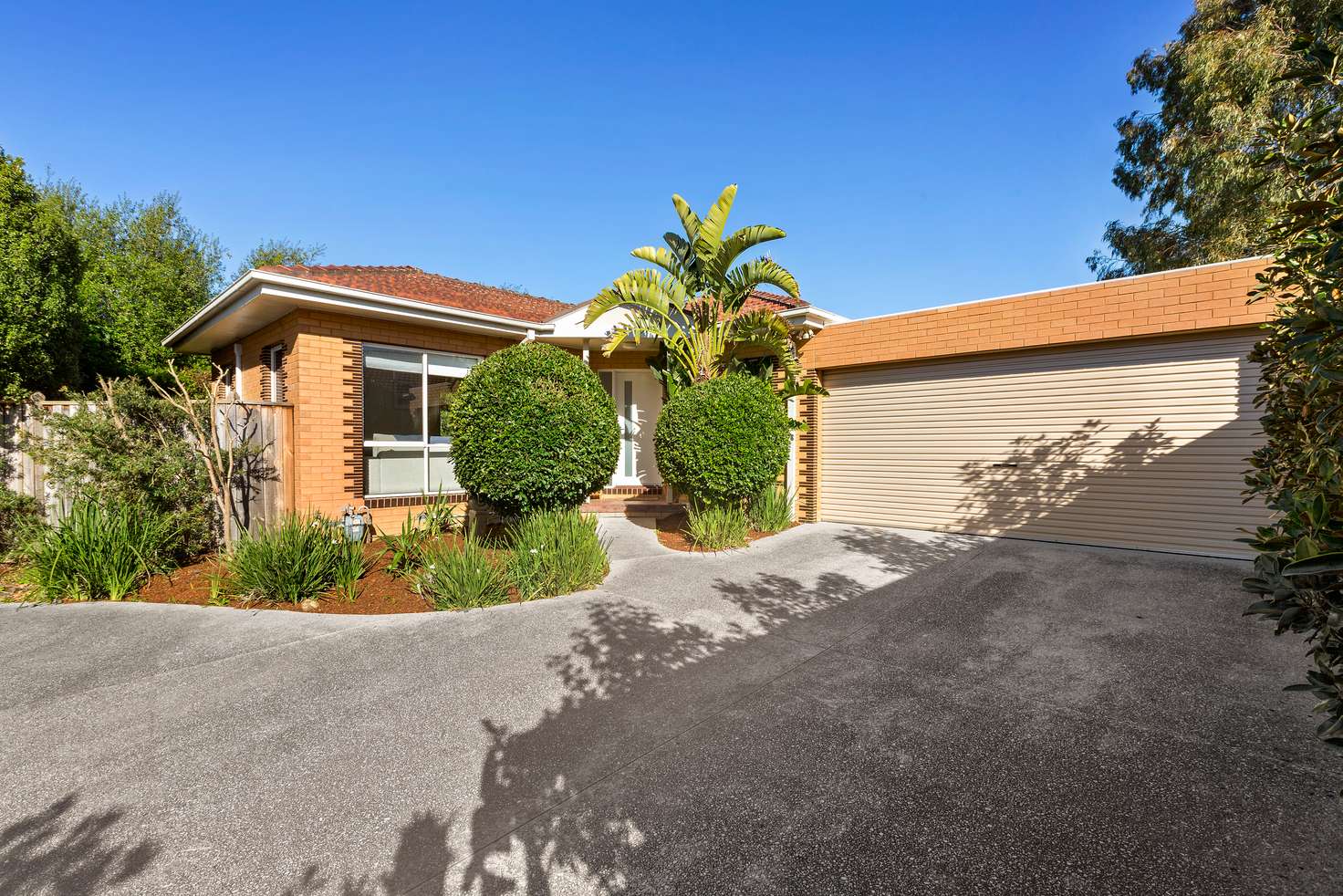 Main view of Homely house listing, 2/37 Shannon Street, Box Hill North VIC 3129