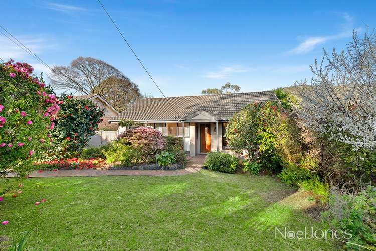 Main view of Homely house listing, 13 Thelma Avenue, Boronia VIC 3155