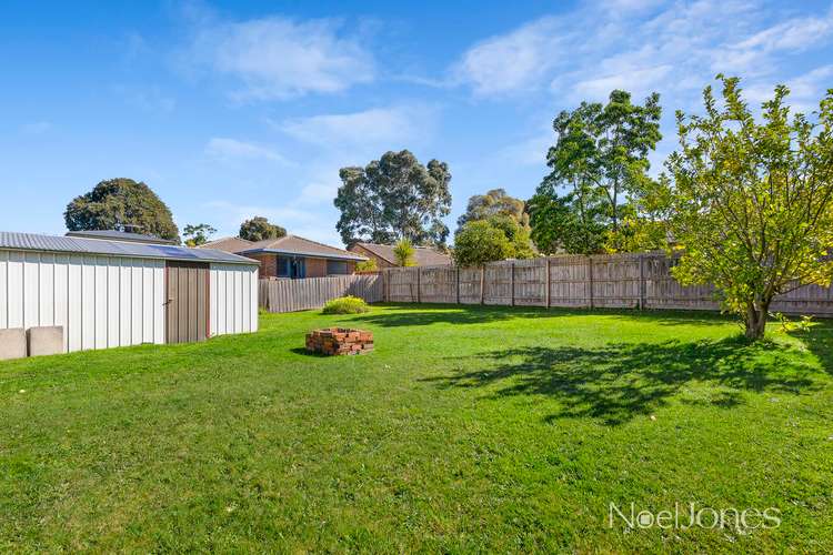 Seventh view of Homely house listing, 3 Morloc Street, Forest Hill VIC 3131