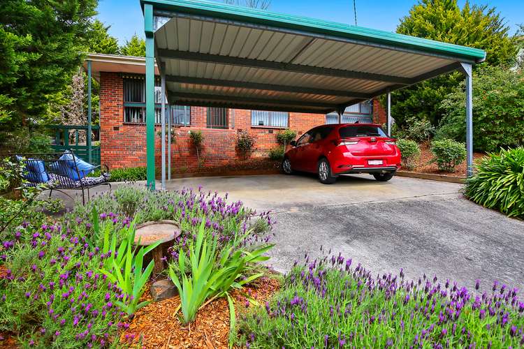 Main view of Homely house listing, 8 Alan Grove, Woori Yallock VIC 3139